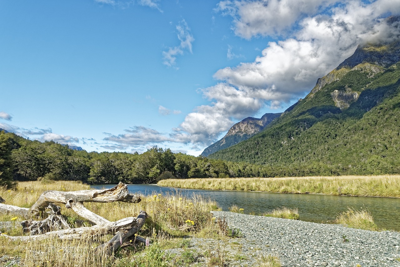 The Serene Landscapes of New Zealand’s Fiordland National Park